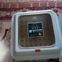 دستگاه جوجه کشی