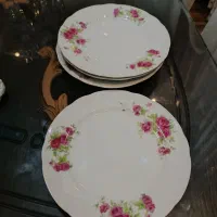 پنج عدد زیر دستی چینی