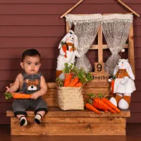 آتلیه سوژه بجنورد