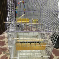 قفس پرنده|لوازم جانبی حیوانات|میانه, |دیوار