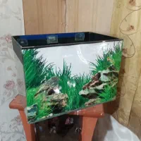 آکواریوم