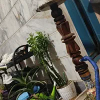 دو عدد قلیون