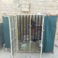 گنجه|لوازم جانبی حیوانات|شیراز, داریون|دیوار