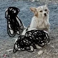 ماده پاپی نگهبان