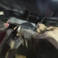 هندا ۷۰ مزایده|موتورسیکلت|بهارستان, |دیوار