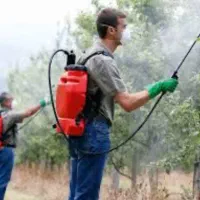 سمپاشی سوسک ساس موش کنه گال پشه مارمولک