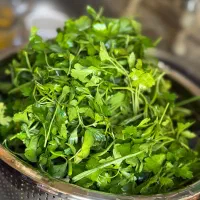 غذای خانگی|خوردنی و آشامیدنی|سهند, |دیوار