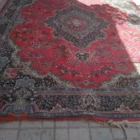 مبل وفرش کارکرده|فرش|شیراز, دارالرحمه|دیوار