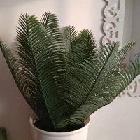 سیکاس مصنوعی