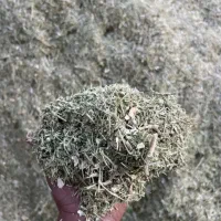 فروش کاه لوبیا