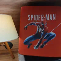 کیف PS4 و XBOX ONE