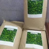 بذر شبدر پایه بلند برسیم