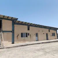 کارگر گروە کشت با حقوق عالی