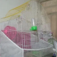 یک عدد قفس پرنده بزرگ با تمام لوازم