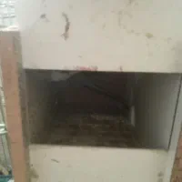 عروس هلندی مولد|پرنده|بروجرد, |دیوار