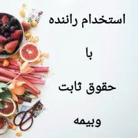 استخدام راننده تحویل دهنده