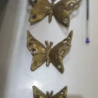 پروانه های برنزی