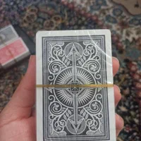 پاسور|کلکسیون و سرگرمی|بندر ترکمن, |دیوار