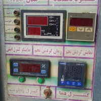 دستگاه جوجه کشی شتر مرغ