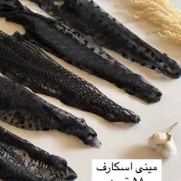 مینی اسکارف بابونه|لباس|قم, حنیف نژاد|دیوار