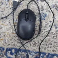 موس|قطعات و لوازم جانبی رایانه|اهواز, کیانشهر|دیوار