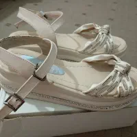 کفش مجلسی|کیف، کفش، کمربند|بندر کنگان, |دیوار