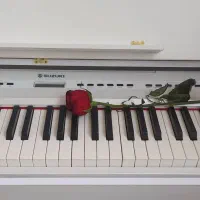 پیانو سوزوکی نو