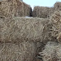 پرس کاه برنج|حیوانات مزرعه|مه ولات, |دیوار