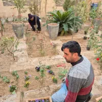 باغبانی سمپاشی هرسکاری سراسر تهران