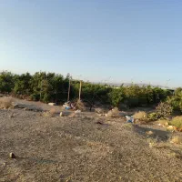 فروش زمین|فروش دفتر صنعتی، کشاورزی، تجاری|نجفآباد, جوزدان|دیوار