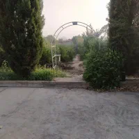 اجاره باغ شخصی|اجارهٔ کوتاه‌مدت ویلا و باغ|شیراز, باغشهر قصر سبز|دیوار