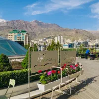 جذب نیروی سالن