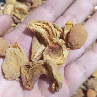 برگه تازه|خوردنی و آشامیدنی|قم, سید معصوم|دیوار