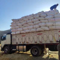 فروش کاه نرم خرمنکوب|خدمات باغبانی و درختکاری|یزد, |دیوار