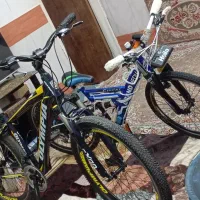 دوعدد دوچرخه