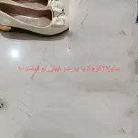 کیف وکفش|کیف، کفش، کمربند|بیرجند, |دیوار