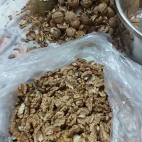 گردو درجه یک تویسرکان