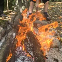 تور گردشگری