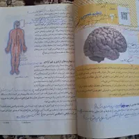 سه نمونه کتاب|کتاب و مجله آموزشی|یاسوج, |دیوار