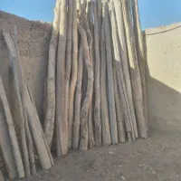 خریدار چوب خشک و تر و ذغالی و تخریب