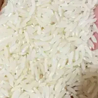 برنج فجر و دمسیاه ولاشه