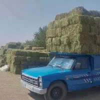 یونجه خالص
