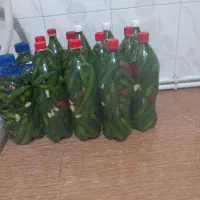 خیارشور|خوردنی و آشامیدنی|کوهدشت, |دیوار