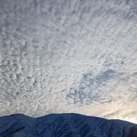 گچ خاک کار خالدی