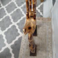 زرافه کنارسالنی