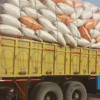 * کاه نیشکر خوراک دام ،کاه گندم دیم|لوازم جانبی حیوانات|میمه, |دیوار