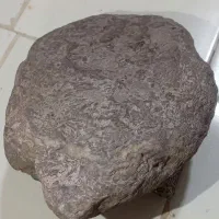 سنگ|کلکسیون اشیاء عتیقه|پرند, فاز ۲|دیوار