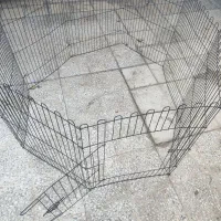 پارک سگ و قلاده