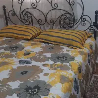 تخت دونفره فرفروژه با تشک|تخت و سرویس خواب|رشت, بیجارپس|دیوار