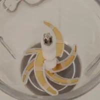 خردکن|خردکن، آسیاب، غذاساز|جهرم, |دیوار